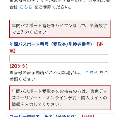 年間パスポート情報を入力