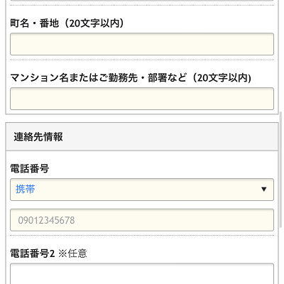お客さま情報の入力（ANA）