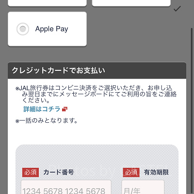 お支払い情報を入力（JAL）