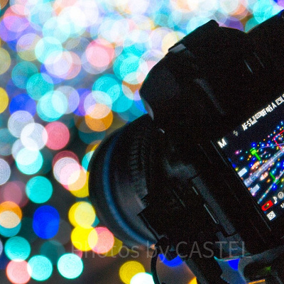 すべてがシャッターチャンス！