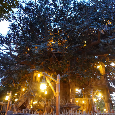 隠れ家的なツリーハウスにワクワク♪