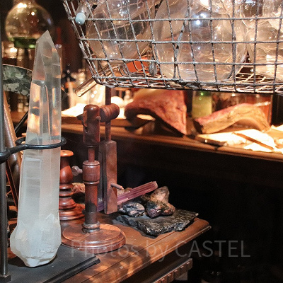 激レアなQラインツアー