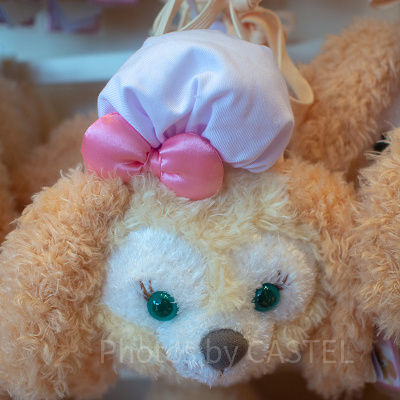 フェイスパスケース