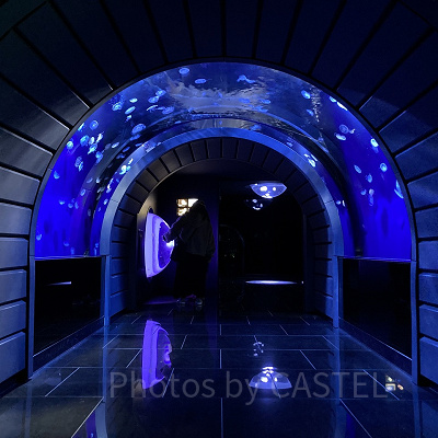 幻想的なクラゲトンネル