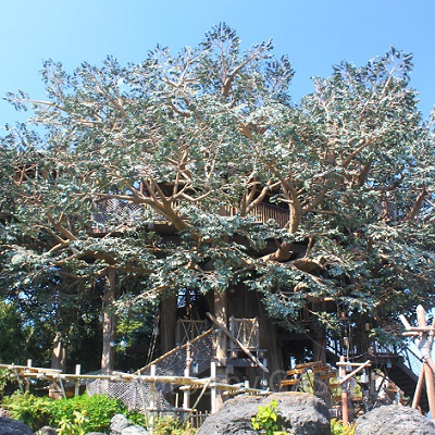 穴場スポットを見つけよう