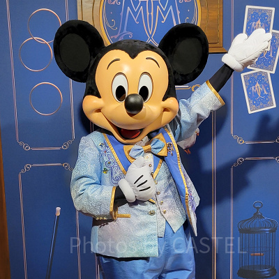 フロリダディズニーのパークチケット