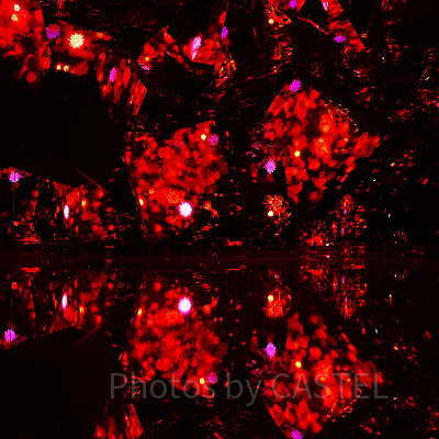 花と人（チームラボボーダレス麻布台）