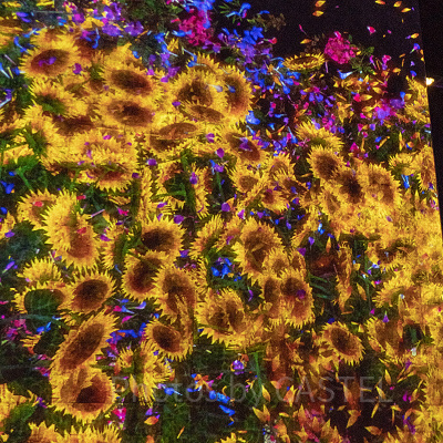 Flowers Forest