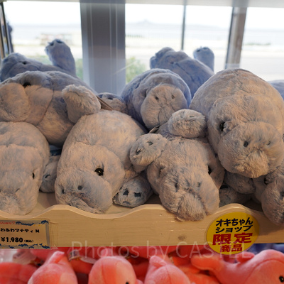 ふわふわマナティ