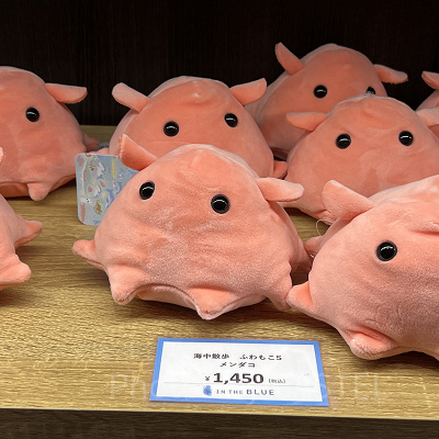 こメンダコぬいぐるみ（アクアパーク品川グッズ）