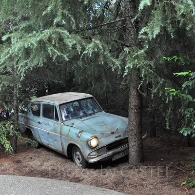 空飛ぶフォード・アングリア/ハリーポッターエリア