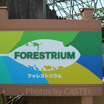 フォレストリウム