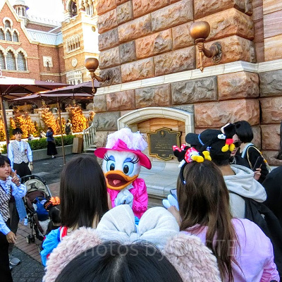 フリーグリーティングの様子（デイジーの場合）