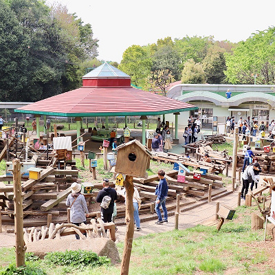 リス放し飼い広場