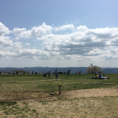 バンジータワーからはこんな景色が一望できます