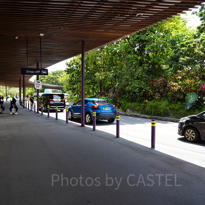 ガーデンズバイザベイ：車・バスのロータリー