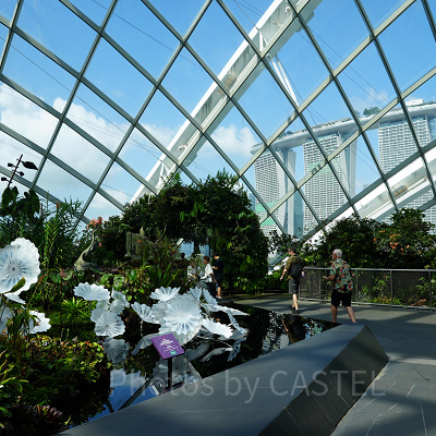 ガーデンズバイザベイ：クラウドフォレスト