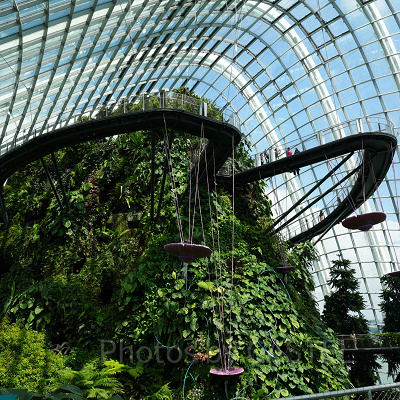 ガーデンズバイザベイ：クラウドフォレスト