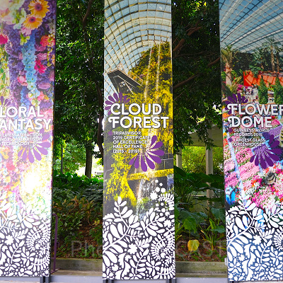 ガーデンズバイザベイ：3つの温室ドームが目玉！