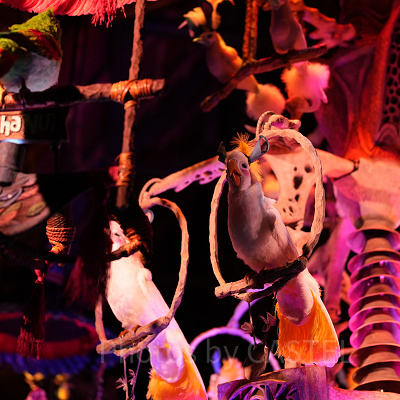 ストーリーを知っておこう