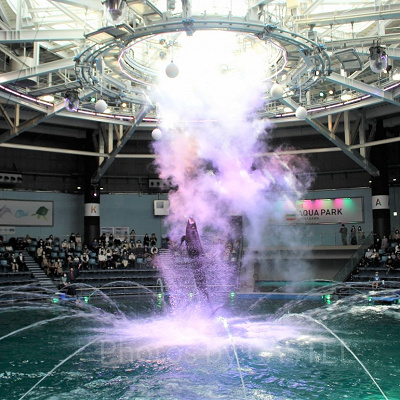 オキゴンドウの大ジャンプ