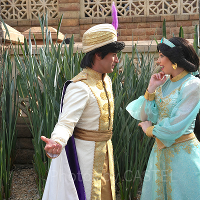 アラジンと一緒に登場するジャスミン