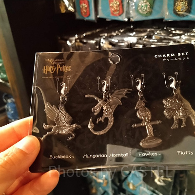 ハグリッドは危険な魔法生物が大好き