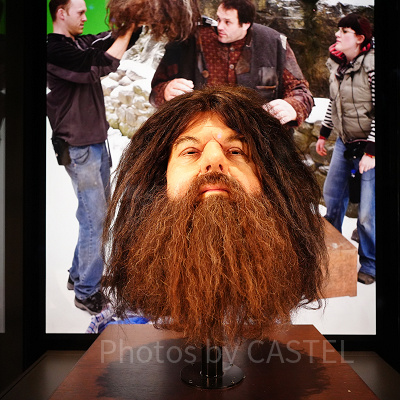 ハグリッドの頭部のアニマトロニクス（スタジオツアー東京）