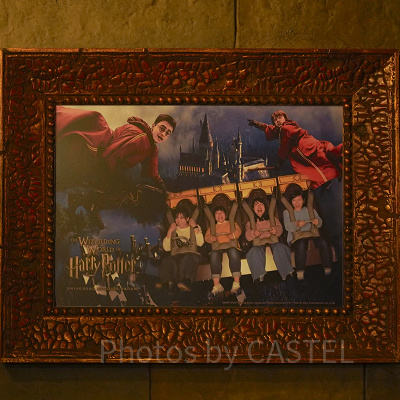 ハリーポッター・アンド・ザ・フォービドゥン・ジャーニー（USJ）