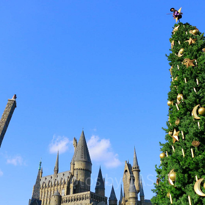 ハリ－・ポッタ－エリアのツリ－