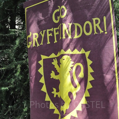 ハリー・ポッターの寮グリフィンドールの応援旗