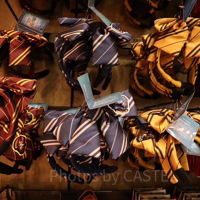 ハリーポッターグッズ/カチューシャ