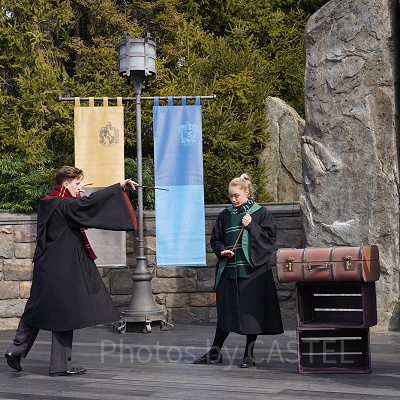 ハリーポッターのワンドスタディ