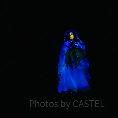 ホーンテッドマンション謎解き体験レポ：リトル・レオタ