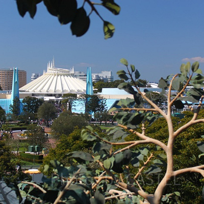 しっかりと楽しもう