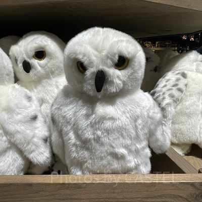 ヘドウィグのぬいぐるみ