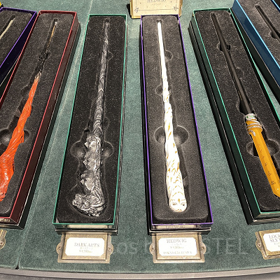 ヘドウィグの杖(右から2本目)