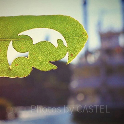 ディズニーランドの隠れミッキー