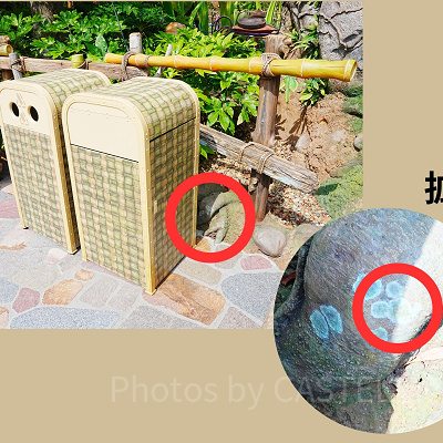 隠れミッキー〔フェアリー・ティンカーベルのビジーバギー〕