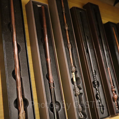 ヒッポグリフ・マジカル・レッスン