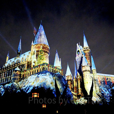 ホグワーツ・マジカルナイト・ウィンターマジック