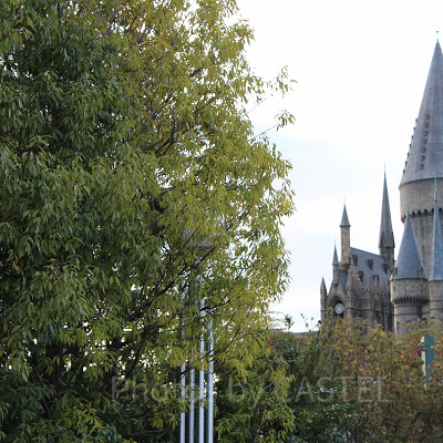 バス降車場から見えるホグワーツ城