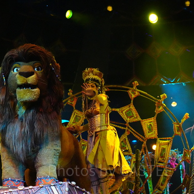 香港ディズニー「フェスティバル・オブ・ザ・ライオンキング」ショー：公演時間をチェック！