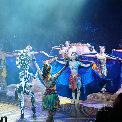 香港ディズニー「フェスティバル・オブ・ザ・ライオンキング」ショー：攻略法