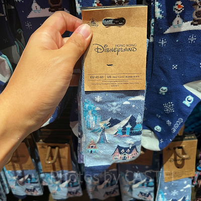 香港ディズニーアナ雪グッズ：アレンデールの風景柄ソックス