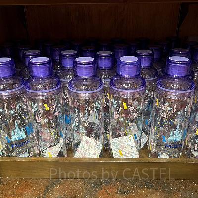 香港ディズニーアナ雪グッズ：クリアドリンクボトル