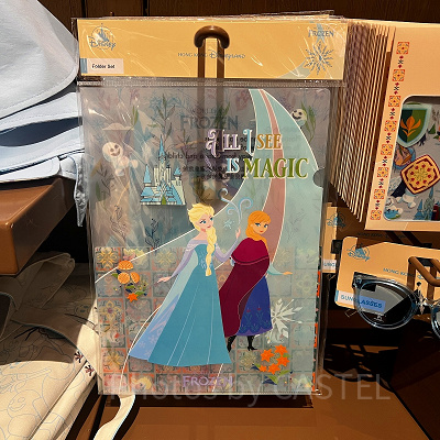 香港ディズニーアナ雪グッズ：クリアファイルセット