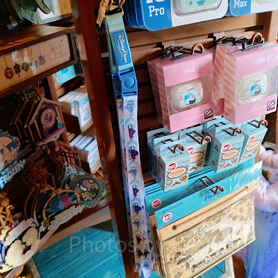 香港ディズニーアナ雪グッズ：「アナと雪の女王2」ストラップ