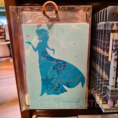 香港ディズニーアナ雪グッズ：ポストカードセット