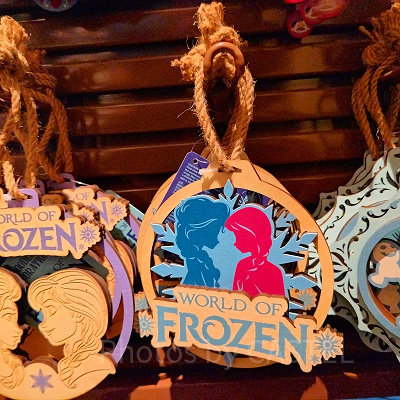 香港ディズニーアナ雪グッズ：木彫りの壁飾り（ワールドオブフローズン）